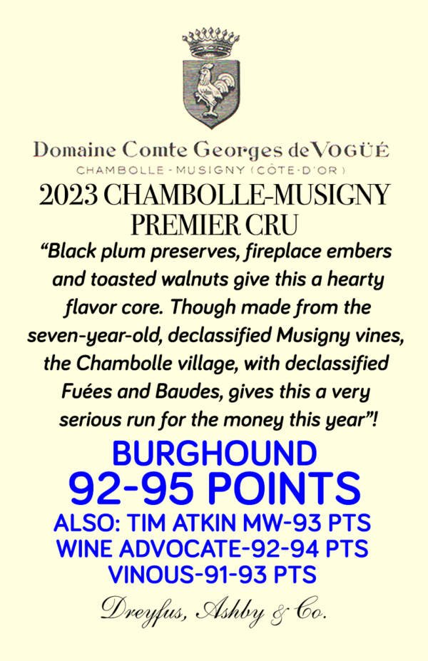 Chambolle-Musigny 1er Cru - Image 2